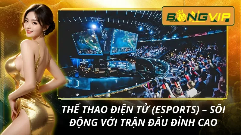 Trang Chủ 39 Trải nghiệm thể thao điện tử cực chất cùng Bongvip